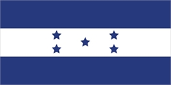 [ai] A flag with a blue background featuring a horizontal white stripe in the center, adorned with five blue stars evenly spaced on the stripe.